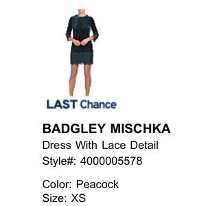 Badgley Mischka Teal Lace Long Sleeve Dress